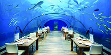 An undersea dining experience you won't forget